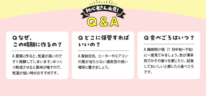 初心者さん必見！Q＆A