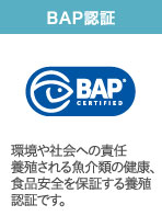 BAP認証