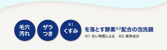 毛穴汚れ　ザラつき　くすみ　を落とす酵素配合の泡洗顔