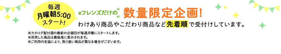 eフレンズだけの数量限定企画！