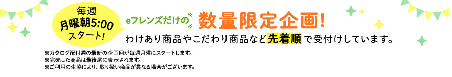 eフレンズだけの数量限定企画！