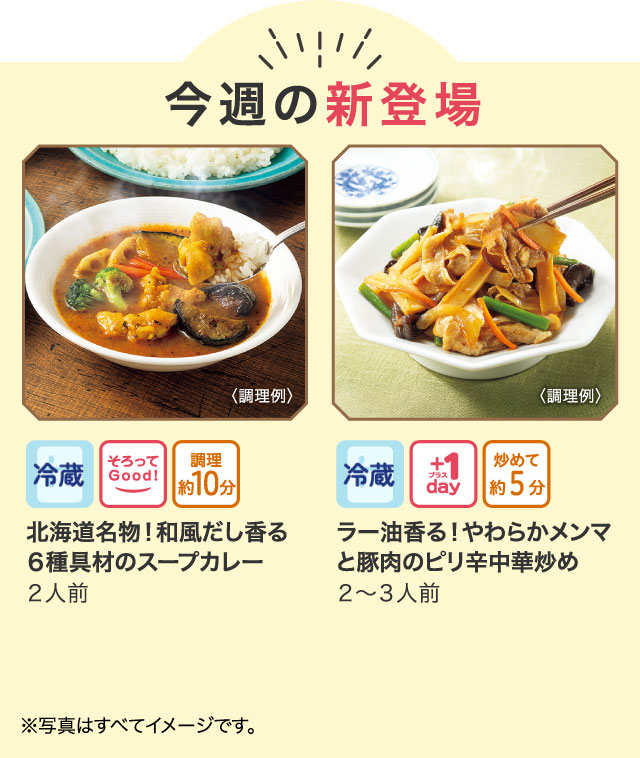 セルディアミール3種のきのこスープごはん 新品未使用　ダンボール未開封 セルディアミール3種きのこのスープごはん ダンボール未開封新品