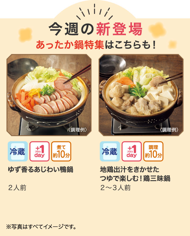 セルディアミール3種のきのこスープごはん 新品未使用