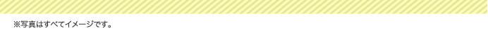 ※写真はすべてイメージです。