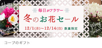 コープのギフト 冬のお花セール