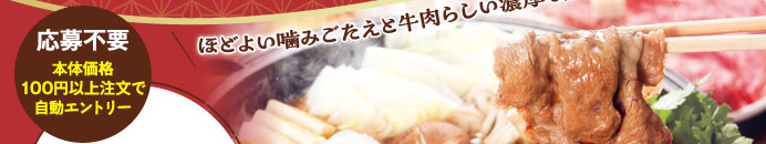 応募不要 本体価格100円以上注文で自動エントリー