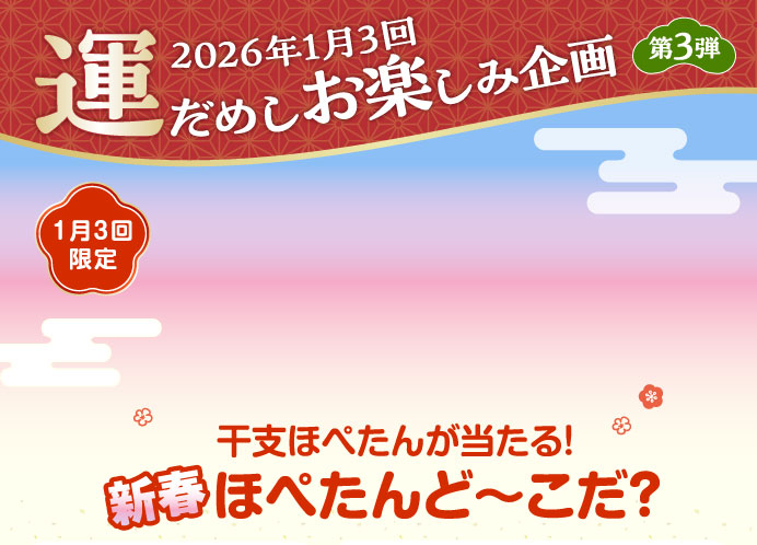2026年1月3回 運だめしお楽しみ企画 第3弾