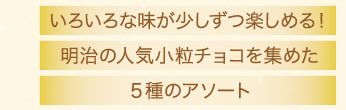 いろいろな味が少しずつ楽しめる！明治の人気小粒チョコを集めた５種のアソート