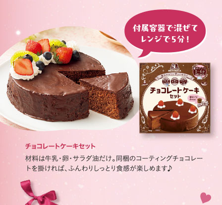 チョコレートケーキセット