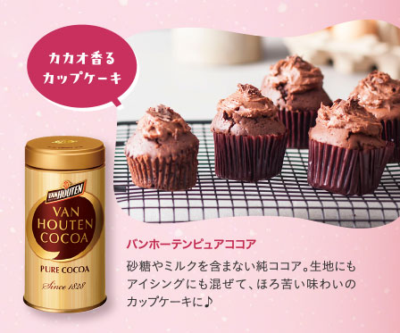 バンホーテンピュアココア