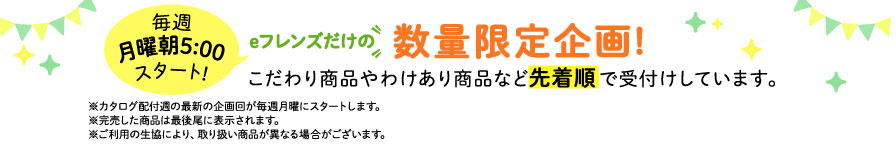 eフレンズだけの数量限定企画！
