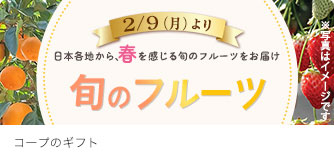 コープのギフト 旬のフルーツ