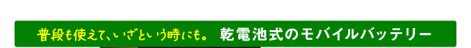 普段も使えて、いざという時にも。乾電池式のモバイルバッテリー