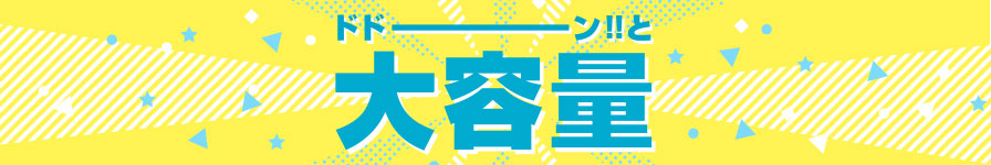 ドドーン!!と大容量