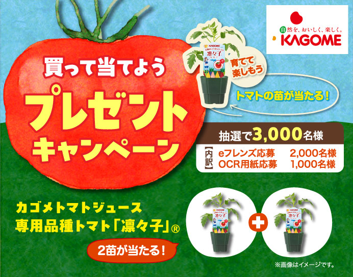 買って当てよう！プレゼントキャンペーン