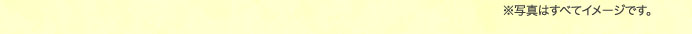 ※写真はすべてイメージです。
