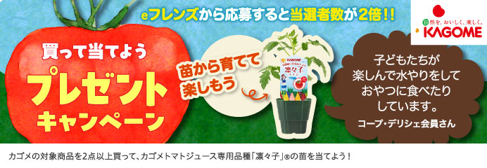 プレゼントキャンペーン