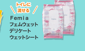 Ｆｅｍｉａ　フェムウェット　デリケート　ウェットシート