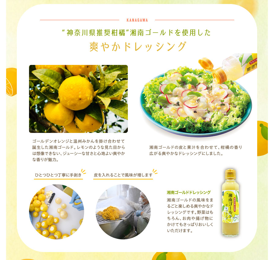 “神奈川県推奨柑橘”湘南ゴールドを使用した 爽やかドレッシング