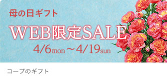 コープのギフト WEB限定SALE