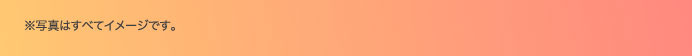 ※写真はすべてイメージです。