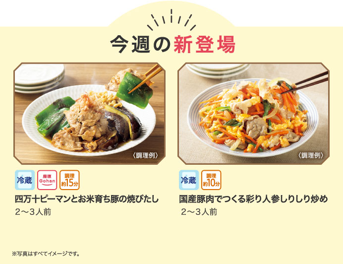 今週の新登場