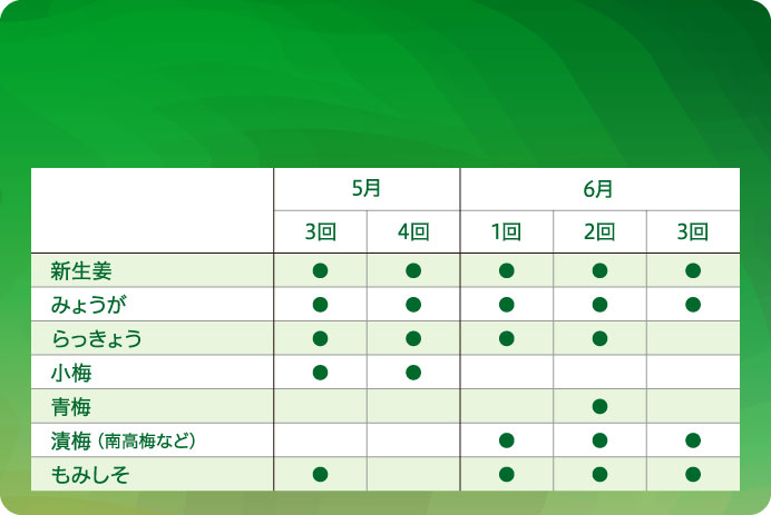 2026年度 初夏の漬物素材