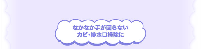 なかなか手が回らないカビ・排水口掃除に