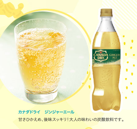 カナダドライ　ジンジャーエール