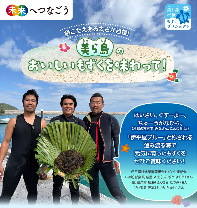歯ごたえある太さが自慢！美ら島のおいしいもずくを味わって！
