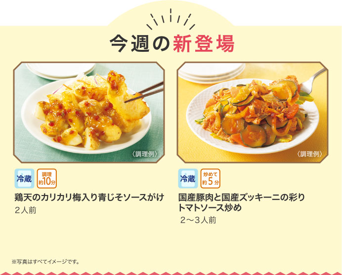 今週の新登場