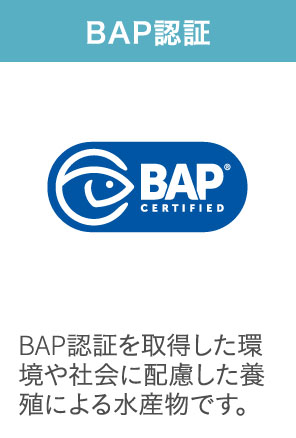 BAP認証