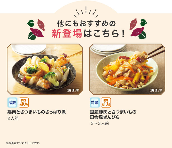 他にもおすすめの新登場はこちら！
