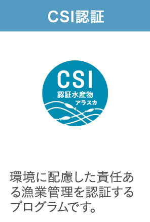 CSI認証