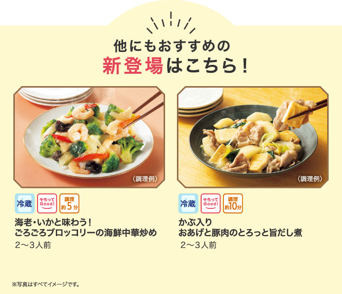 他にもおすすめの新登場はこちら！