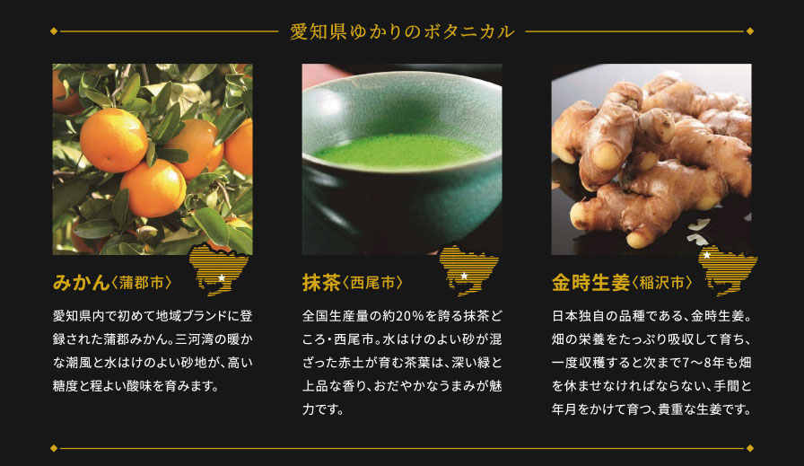 愛知県ゆかりのボタニカル