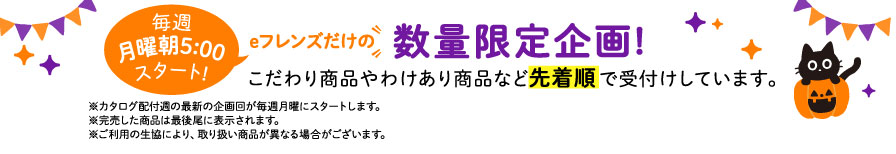 eフレンズだけの数量限定企画！