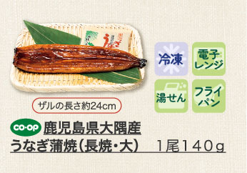 鹿児島県大隅産うなぎ蒲焼（長焼・大） １尾１４０ｇ