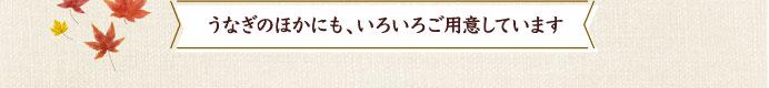 うなぎのほかにも、いろいろご用意しています
