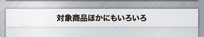 対象商品ほかにもいろいろ