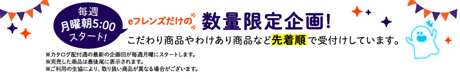 eフレンズだけの数量限定企画！