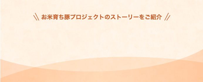 お米育ち豚プロジェクトのストーリーをご紹介