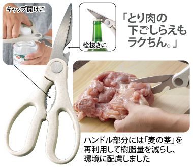 おすすめポイント