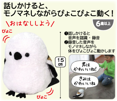 おすすめポイント