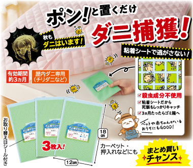おすすめポイント